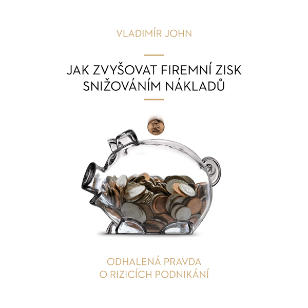 Jak zvyšovat firemní zisk snižováním nákladů