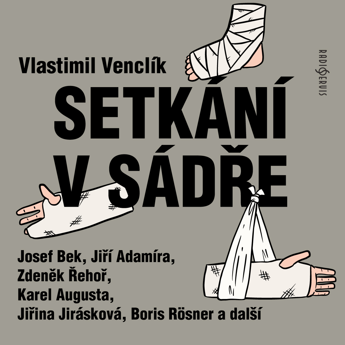 Setkání v sádře