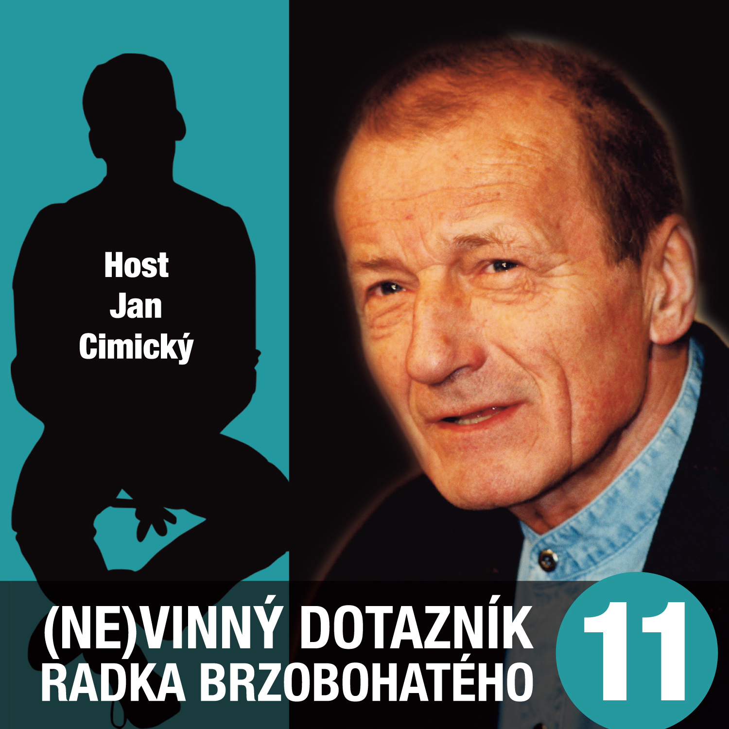 (Ne)vinný dotazník Radka Brzobohatého 11.