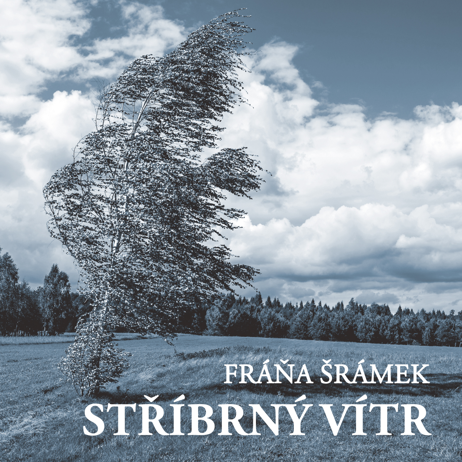 Stříbrný vítr