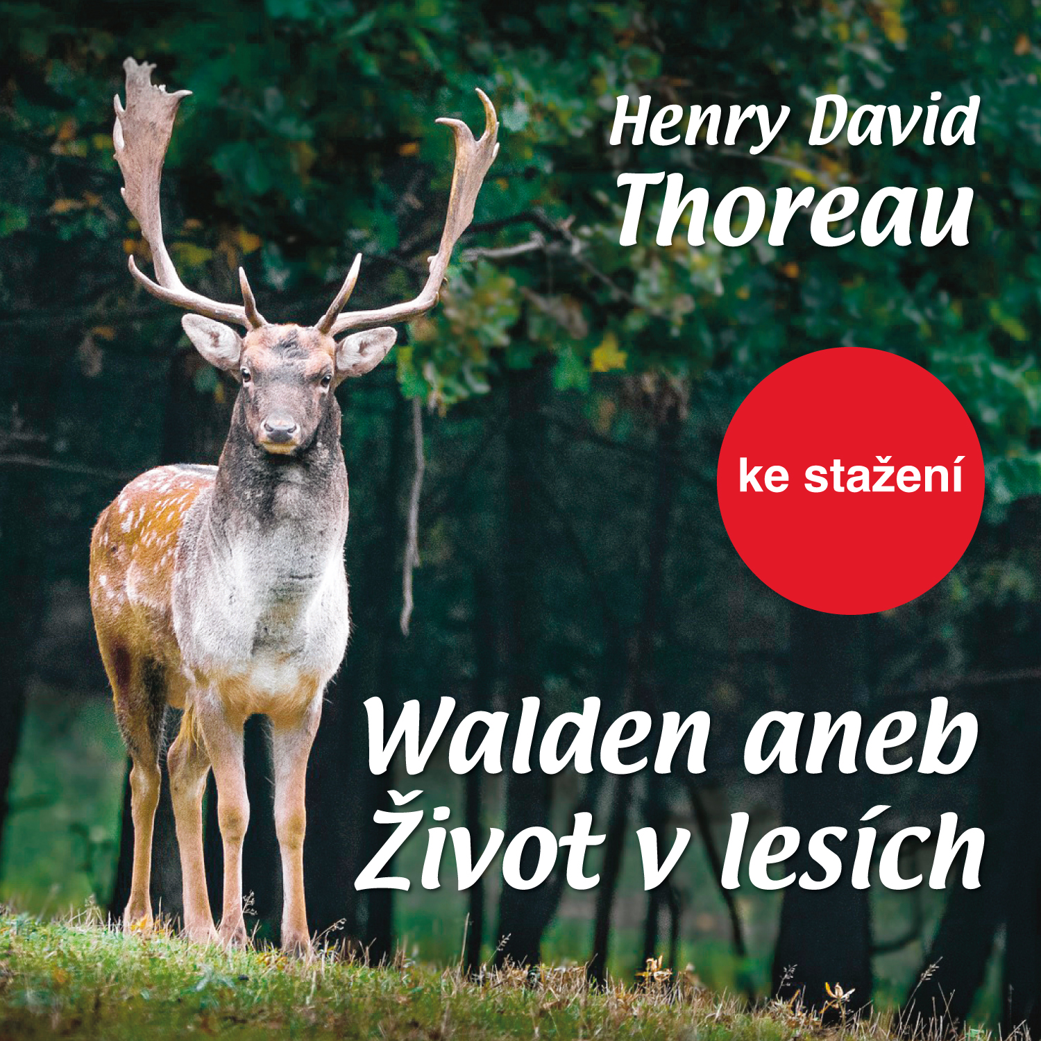 Walden aneb Život v lesích