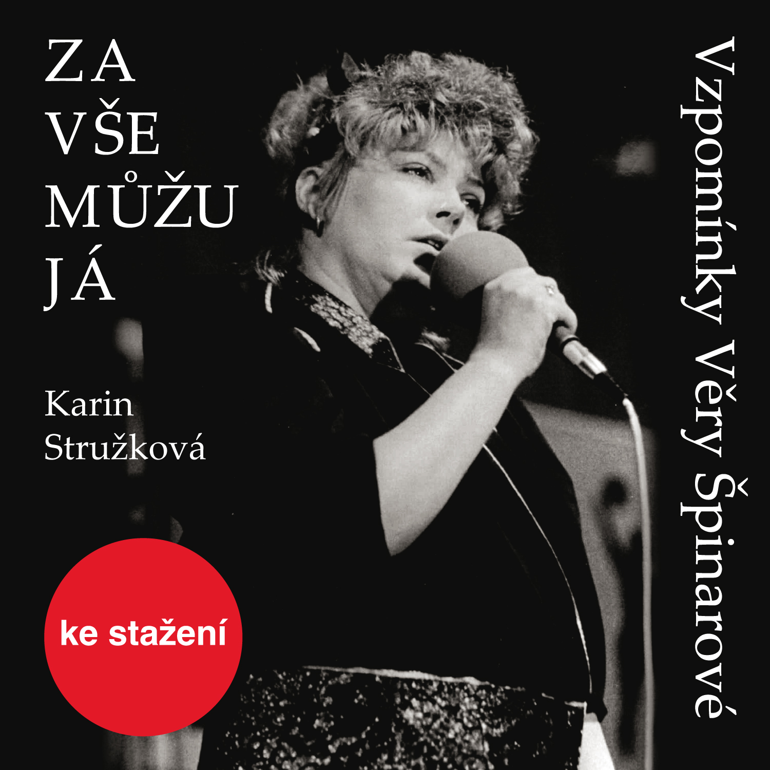 Za vše můžu já