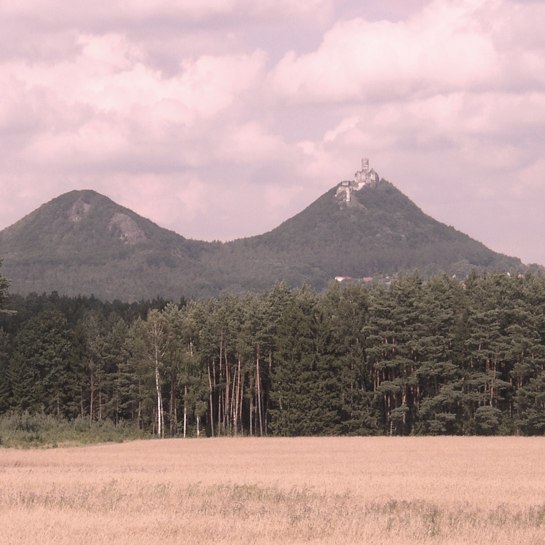 Máj (2008)