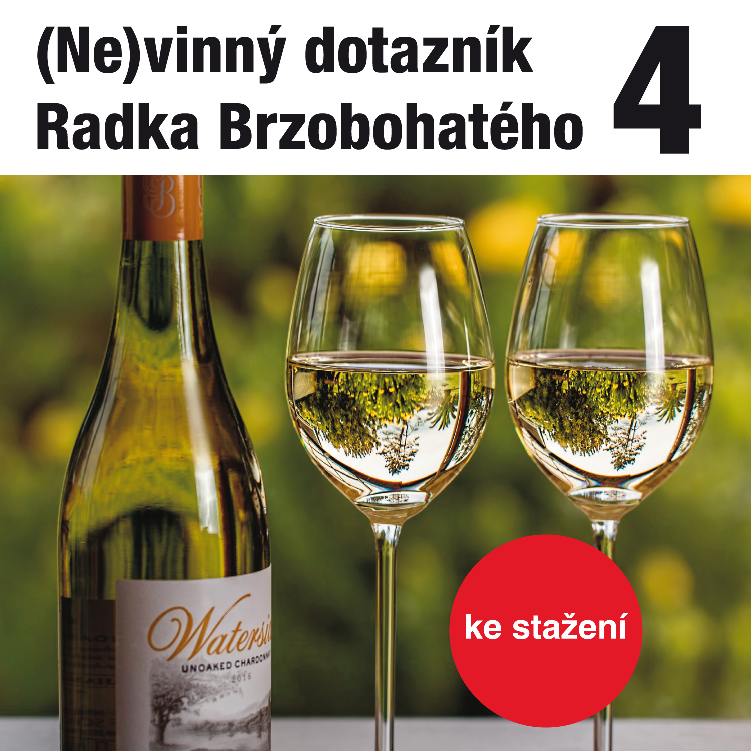 (Ne)vinný dotazník Radka Brzobohatého 4.