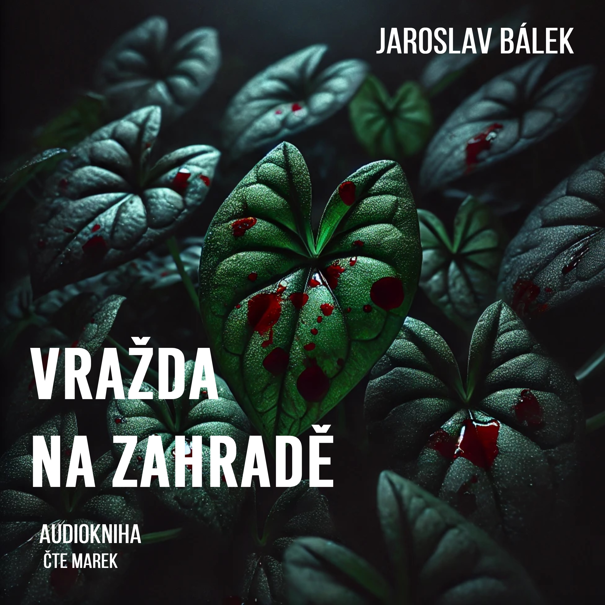 Vražd na dvorku