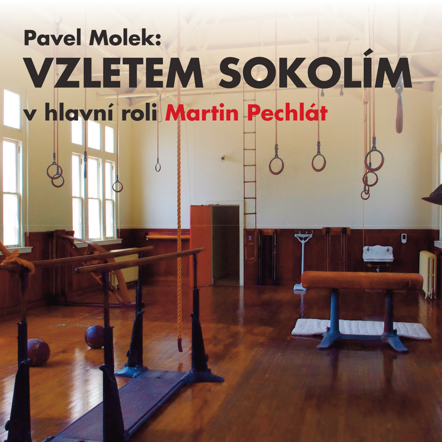 Vzletem sokolím
