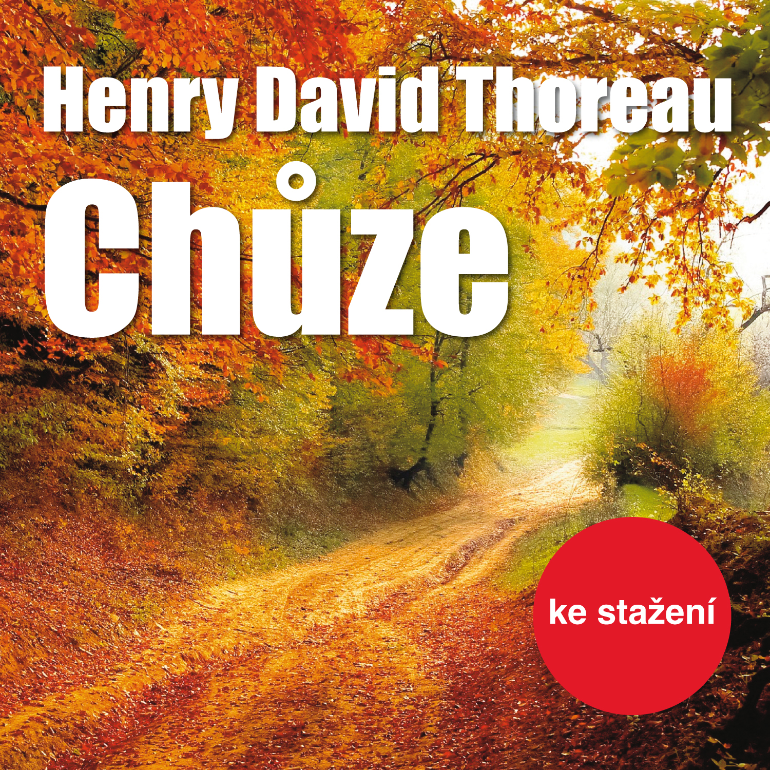 Chůze