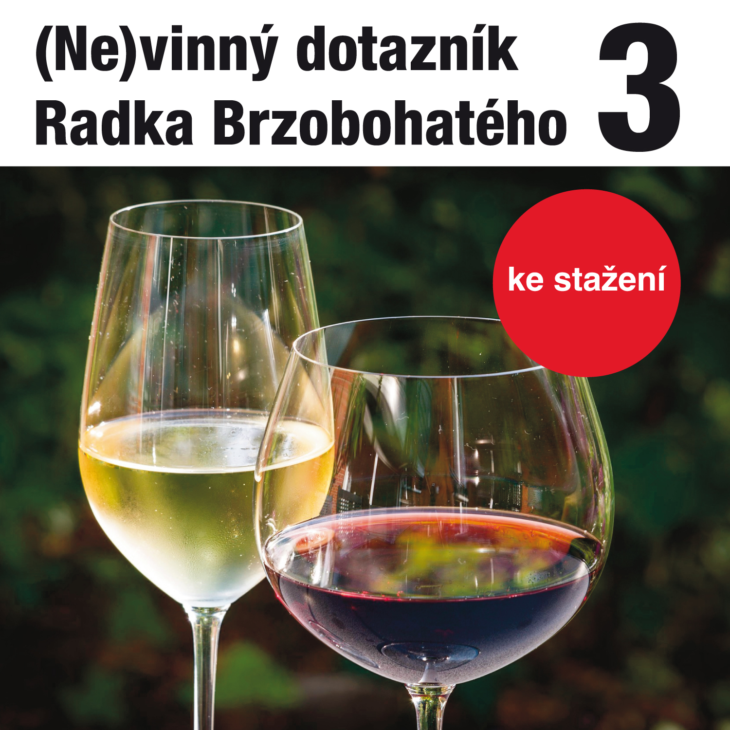 (Ne)vinný dotazník Radka Brzobohatého 3.