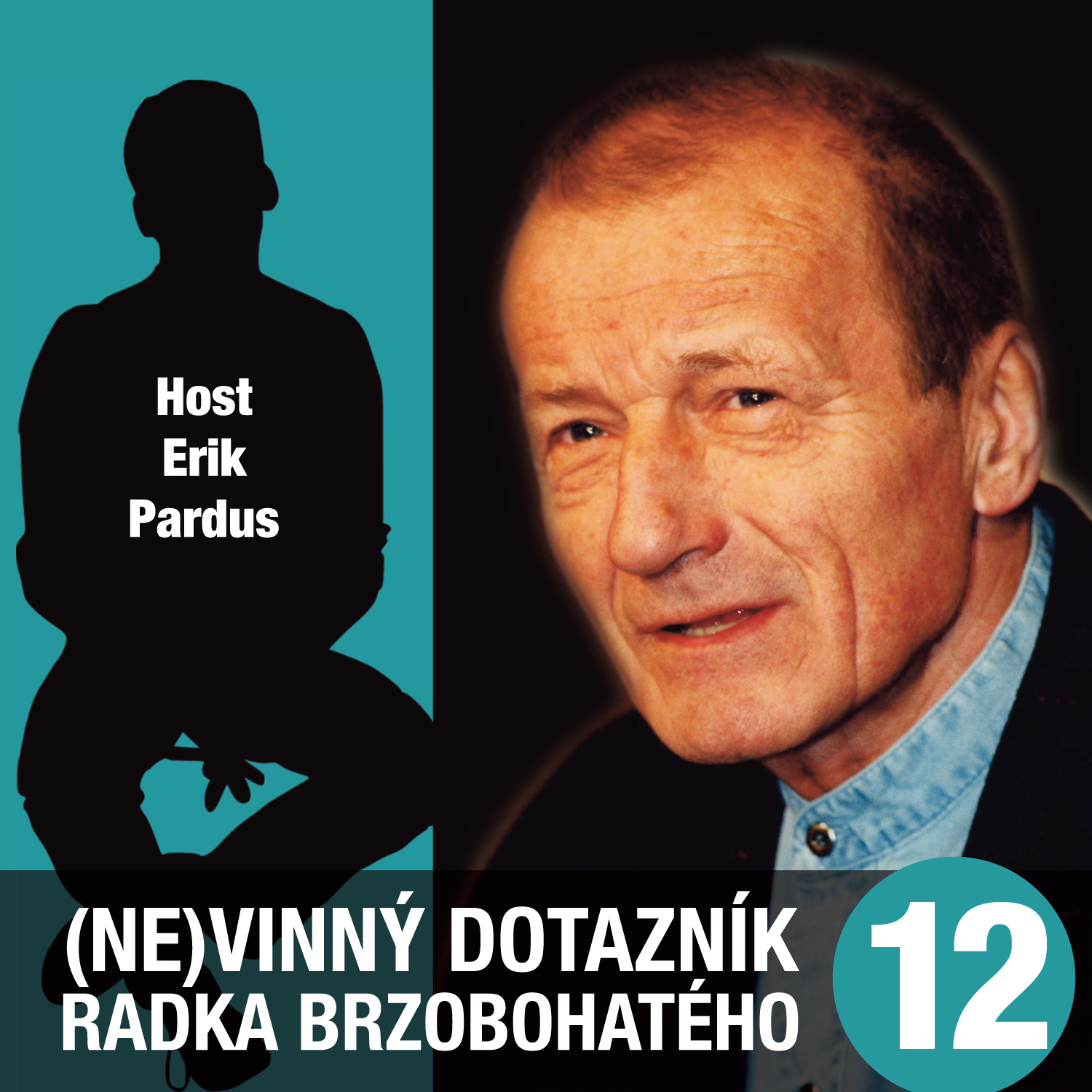 (Ne)vinný dotazník Radka Brzobohatého 12.